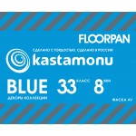 Floorpan Blue (15)