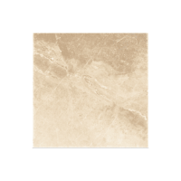 Магма светло-коричневый GSR0069 60х60 AntiSlip, ProGRES