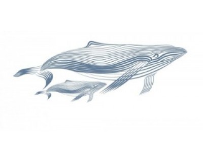 Декор Марис киты белый 30*60 см