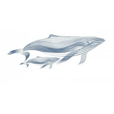 Декор Марис киты белый 30*60 см